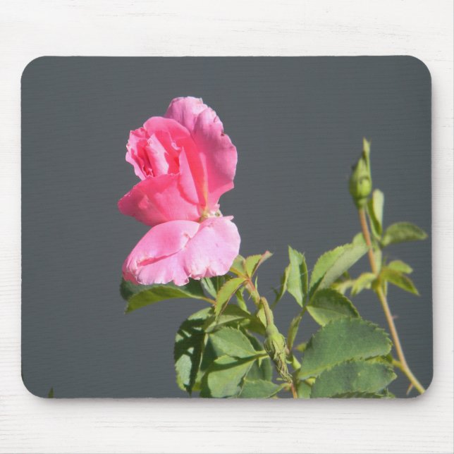 Summer Time Love... Mouse Pad (Front)