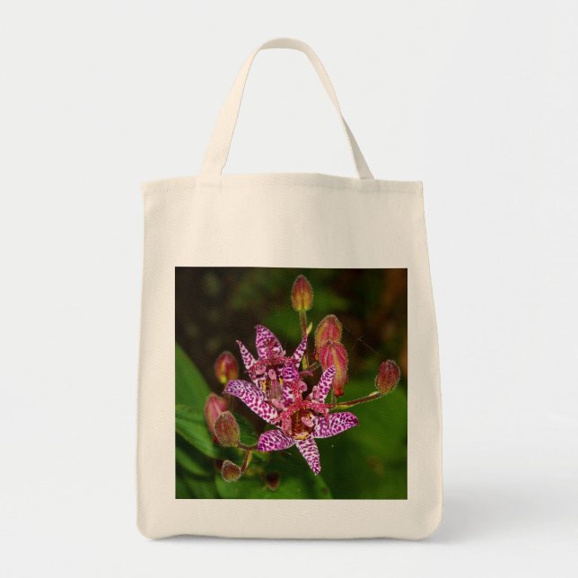 Summer Toad Lily Tote Bag (Front)