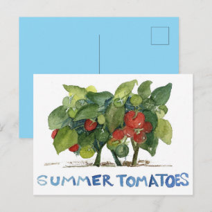 Summer Tomatoes Fruit Vegetable Garden Pen Pal Postcard