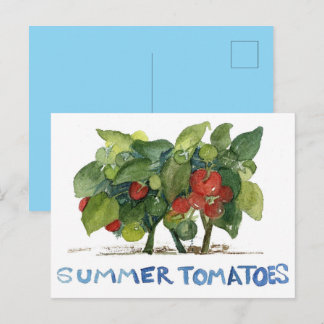 Summer Tomatoes Fruit Vegetable Garden Pen Pal Postcard