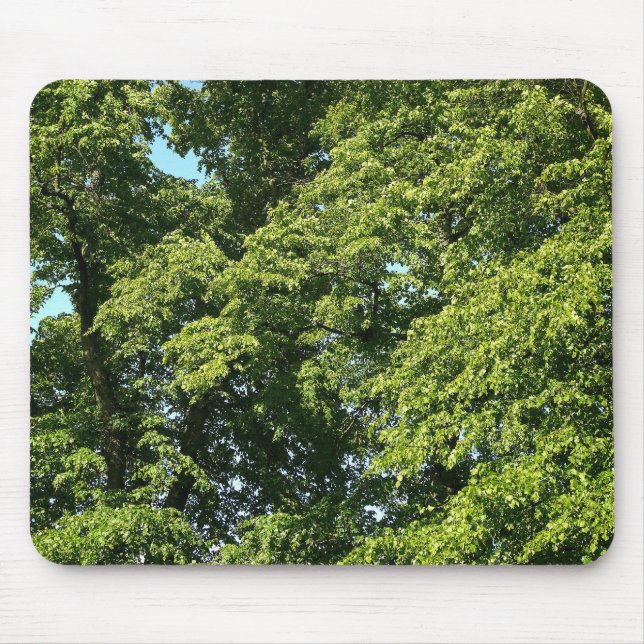 Summer Trees Mouse Pad (Front)