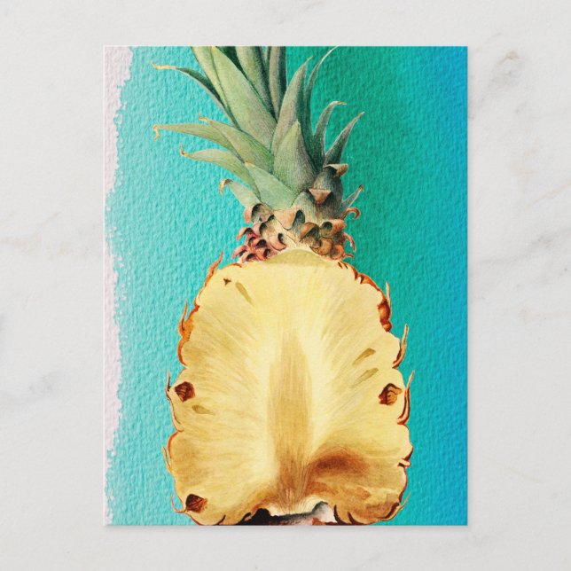 Summer Tropical Pineapple Fruit  Holiday Postcard (Front)
