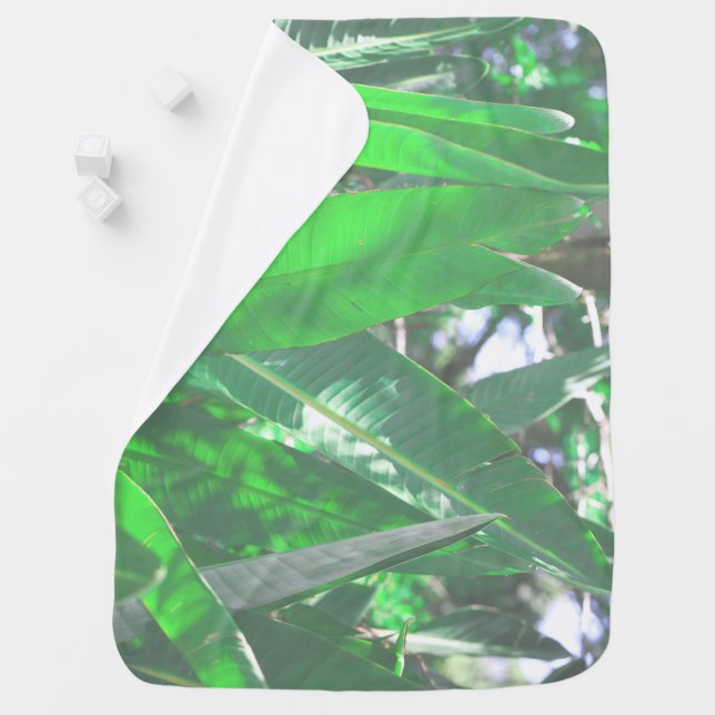 Summer Vibes Banana Tree Leaves Pale Green Pastel Baby Blanket (In Situ)