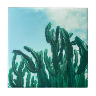 Summer Vibes Palm Tree Cactus Pale Green Ceramic Tile