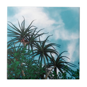 Summer Vibes Palm Tree Cactus Pale Green Ceramic Tile