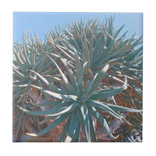 Summer Vibes Palm Tree Cactus Pale Green Ceramic Tile