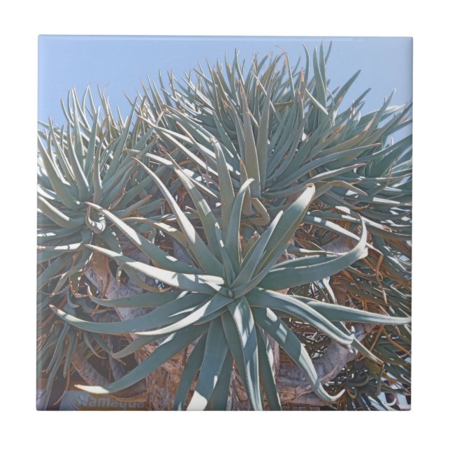 Summer Vibes Palm Tree Cactus Pale Green Ceramic Tile (Front)