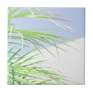 Summer Vibes Palm Tree Leaves Pale Green Pastel Ceramic Tile