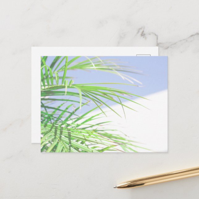 Summer Vibes Palm Tree Leaves Pale Green Pastel Postcard (Front/Back In Situ)