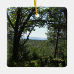 Summer View in Acadia National Park Ceramic Ornament