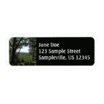 Summer View in Acadia National Park Label
