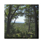 Summer View in Acadia National Park Magnet