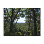 Summer View in Acadia National Park Postcard