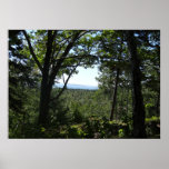 Summer View in Acadia National Park Poster