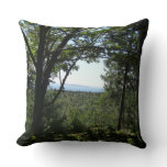 Summer View in Acadia National Park Throw Pillow