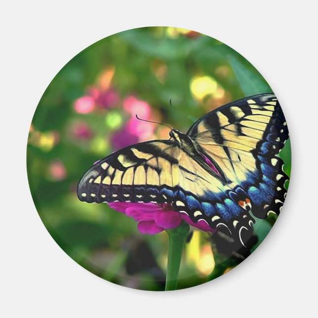 Summer Visitor Magnet (Front)