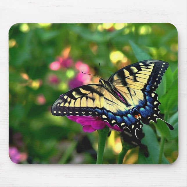 Summer Visitor Mouse Pad (Front)