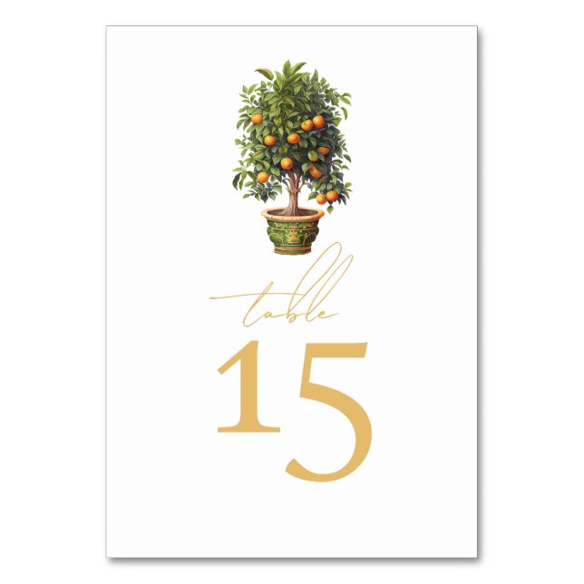 Summer Wedding Orange Fruit  Table Number (Front)