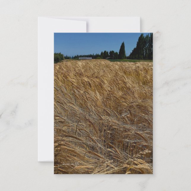 Summer Wheat Field Note Card (Front)