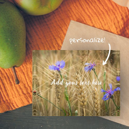 Summer wheat field with blue cornflowers paperweight