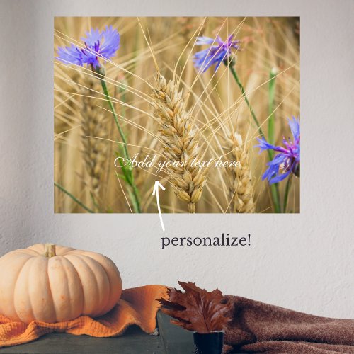 Summer wheat field with blue cornflowers poster