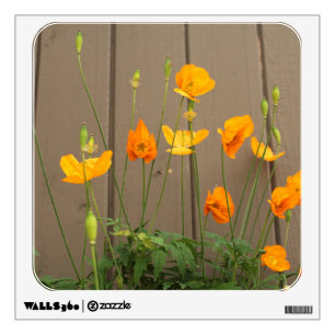 summer wild yellow poppy flowers, wooden fence wall sticker