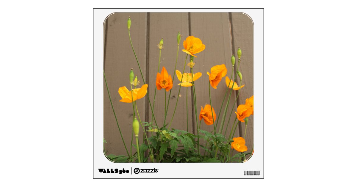 Summer Wild Yellow Poppy Flowers Wooden Fence Wall Sticker Zazzle Com