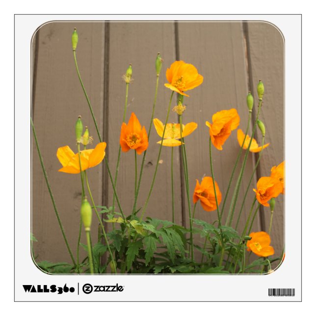 summer wild yellow poppy flowers, wooden fence wall sticker (Front)