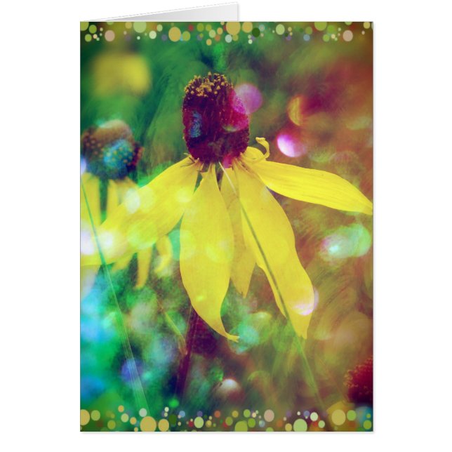Summer wildflower cards (Front)