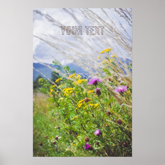 Summer Wildflower Meadow  Poster (Front)