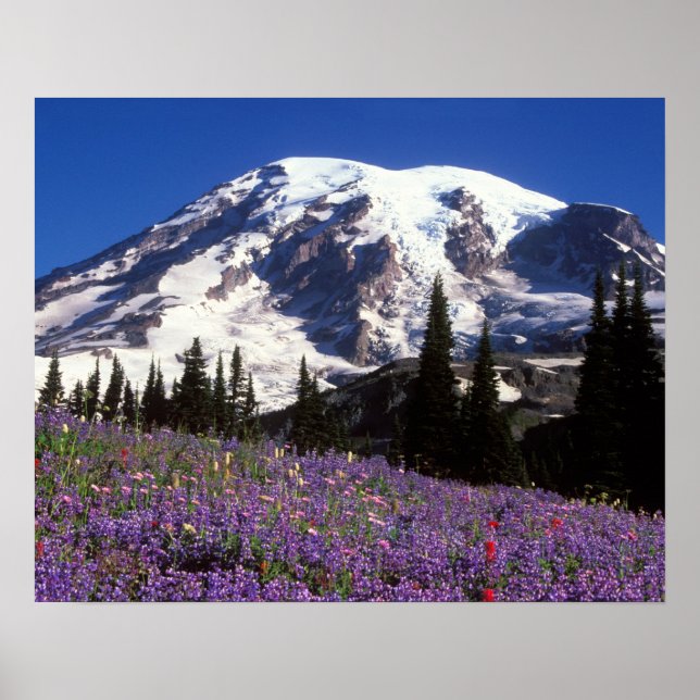 summer wildflowers at the base of Mount Rainier, 2 Poster (Front)