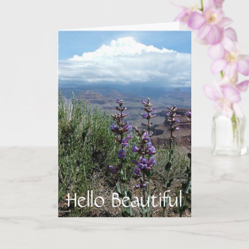 Summer Wildflowers Floral Nature Photography Card