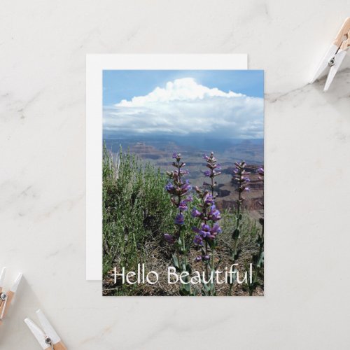 Summer Wildflowers Floral Nature Photography Card