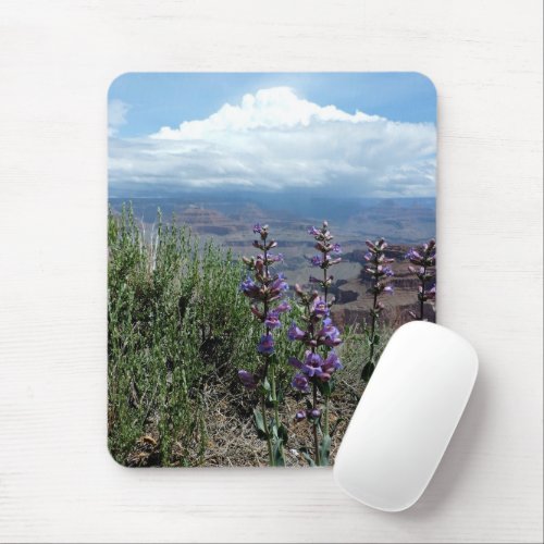 Summer Wildflowers Grand Canyon National Park Mouse Pad