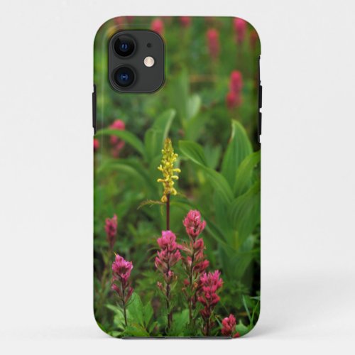 Summer Wildflowers Send Forth A Riot Of Color iPhone 11 Case