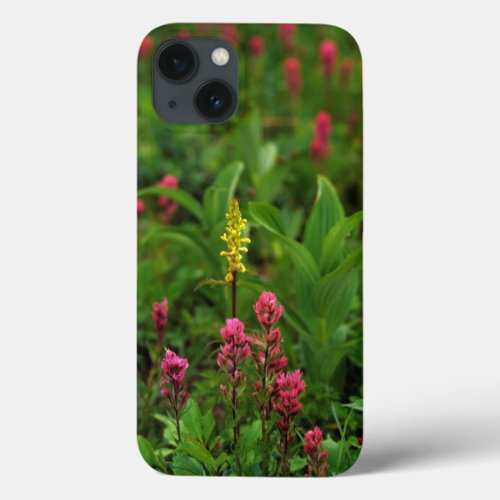 Summer Wildflowers Send Forth A Riot Of Color iPhone 13 Case