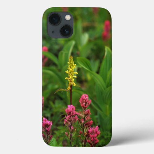 Summer Wildflowers Send Forth A Riot Of Color iPhone 13 Case