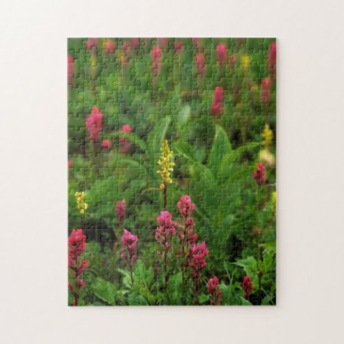 Summer Wildflowers Send Forth A Riot Of Color Jigsaw Puzzle