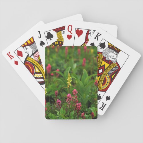 Summer Wildflowers Send Forth A Riot Of Color Playing Cards