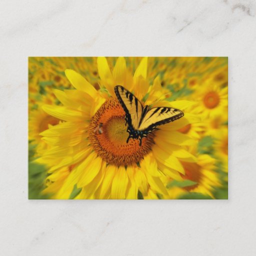 Customizable Summer wings , Business card