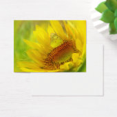 Summer wings, profile card (Desk)