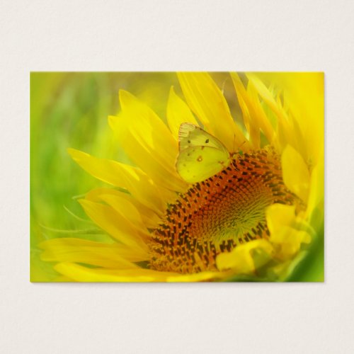 Summer wings, profile card business card templates