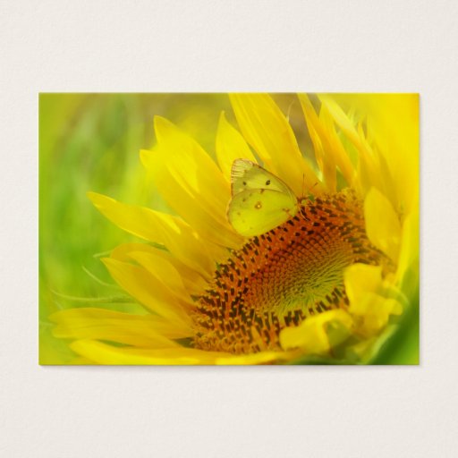 Customizable Summer wings, profile card business card templates