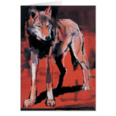 Summer Wolf 2001 (Front)