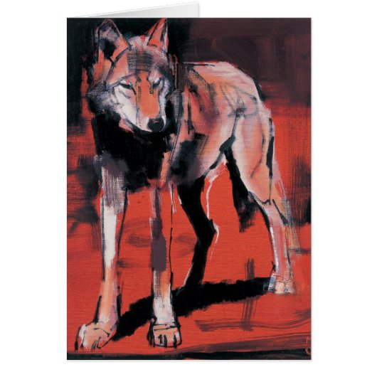 Summer Wolf 2001 Cards (Front)