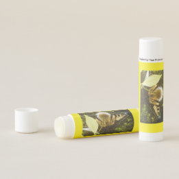 Summer Yellow Monarch Feeding On Nectar Lip Balm