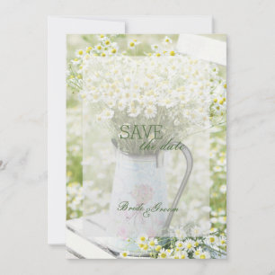 Summerfield Daisies Camomile Flower SAVE the Date