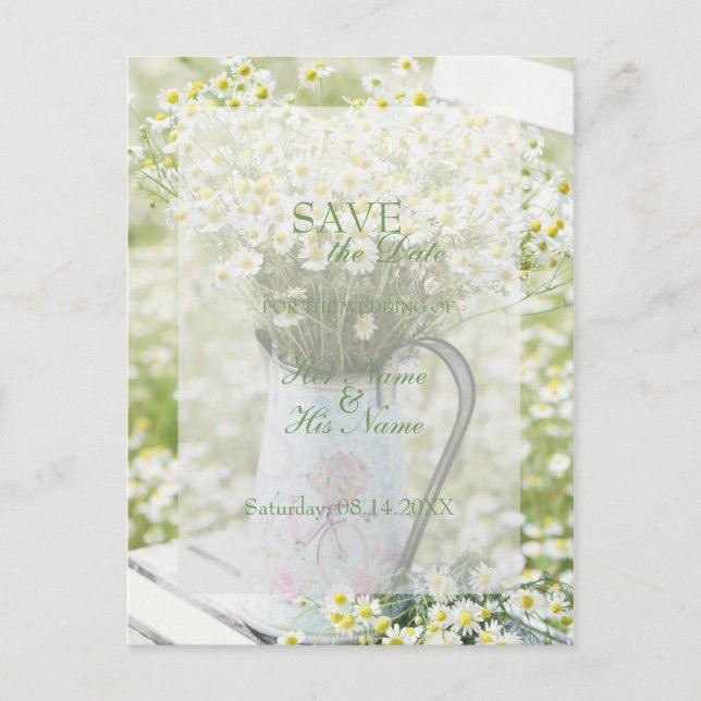 Summerfield Daisies Camomile Flower SAVE the Date Announcement Postcard (Front)