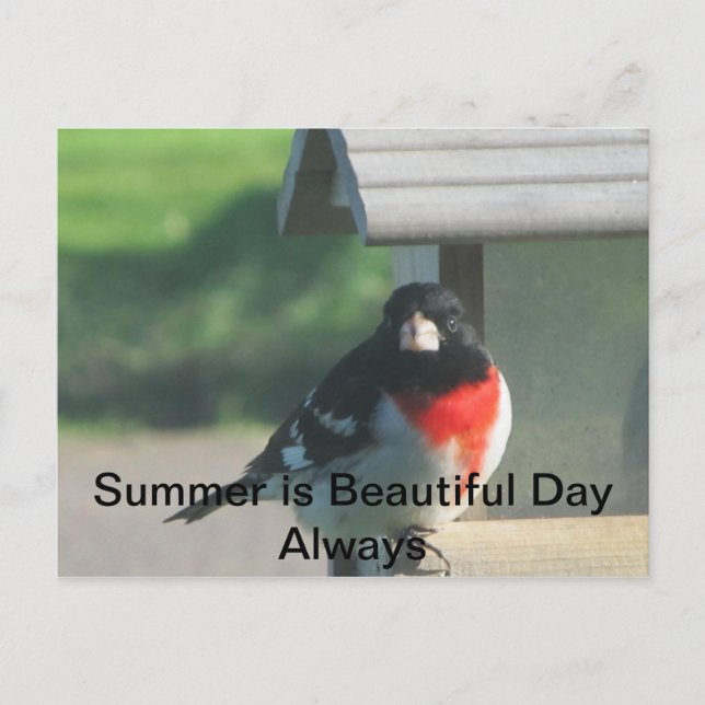 Summers Beautty Postcard (Front)