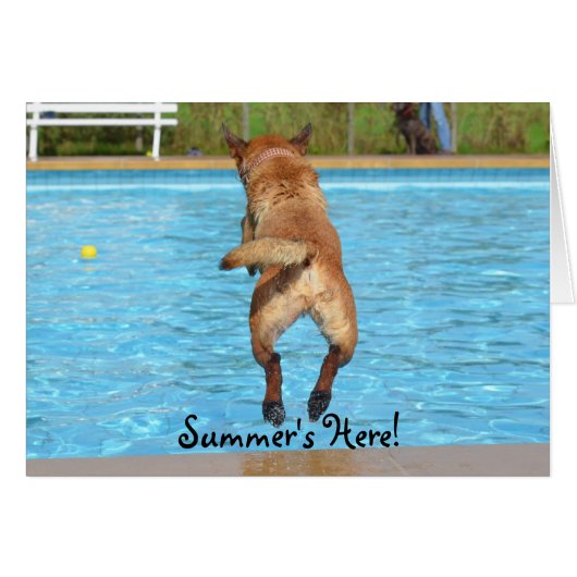 Summer's Here Dog Cards (Front Horizontal)